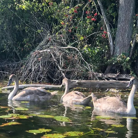 W Maradkach U Justyny *